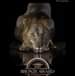 Image may contain: text that says "TRACEY LUND PET &AN MAL ERNATIONAL PHOTOGRAPH 2020 BRONZE AWARD RSEPHOTOAWARDS.COM"